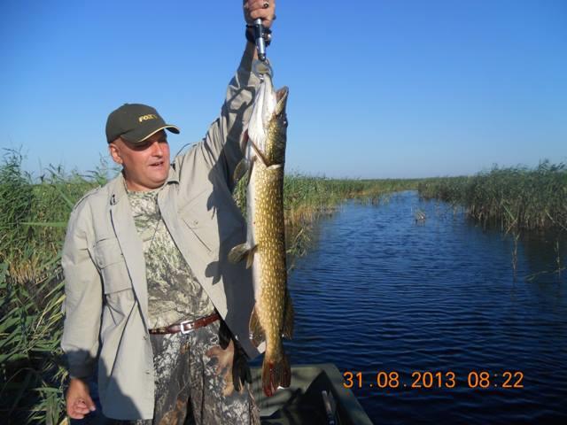 Delta Dunarii - delta131.jpg